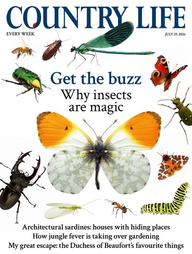 Country life magazine - magazine, july