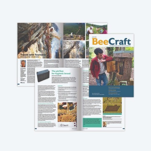 Beecraft magazine back issues - magazine,
